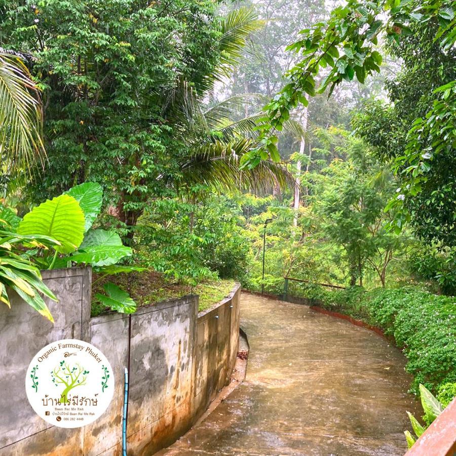 Baan Rai Me Rak Organic Farmstay Pa Khlok Exteriér fotografie