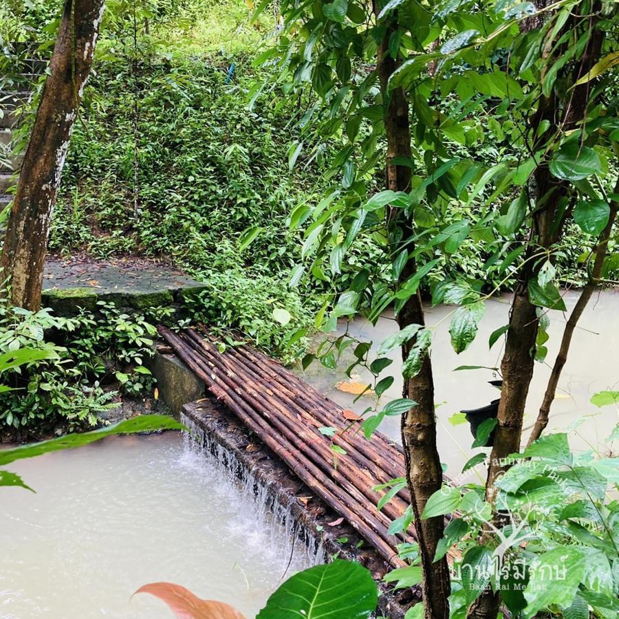 Baan Rai Me Rak Organic Farmstay Pa Khlok Exteriér fotografie
