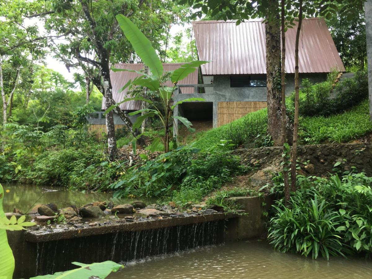 Baan Rai Me Rak Organic Farmstay Pa Khlok Exteriér fotografie